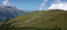 IMG_20230713_110754_551.jpg