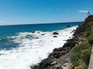 IMG_20230805_123819.jpg
