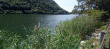 IMG_20230809_120444_356.jpg