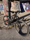 IMG_2280.jpeg