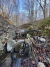 IMG_0114.jpeg