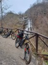 IMG_20231226_144218_062.jpg