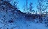 IMG-20240121-WA0003.jpg