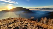 IMG_5343.jpeg