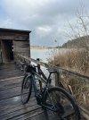 IMG_3926.jpeg