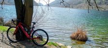 IMG_20240319_124851_915~2.jpg