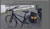 IMG_6308.jpeg