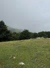 IMG_0102.jpeg