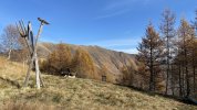 IMG_5638.jpeg