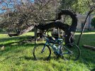 BMC URS AL TANOL 2024.jpeg