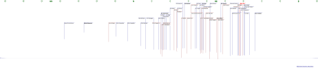 20250530_232210_162_2_36_99_138_names.png