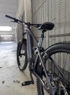 IMG_0275.jpeg