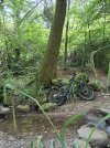 20250615_095523.jpg