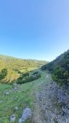 20250614_081805.jpg