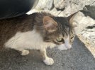 IMG_1055.jpeg