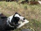 IMG_1145.jpeg