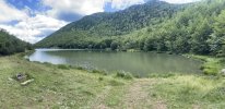 IMG_3945.jpg