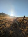 PXL_20250808_045754203.jpg