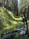 IMG_1704.jpeg