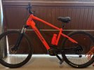 bici44.jpg