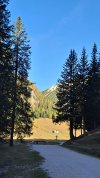 20251011_085622.jpg