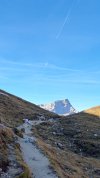 20251011_094949.jpg
