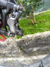 IMG_20251017_100553_574.jpg