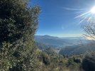 IMG_4736.jpeg