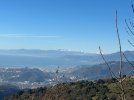 IMG_4738.jpeg