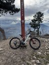 IMG_8847.jpeg