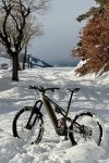 IMG_6774.jpeg
