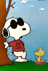 1000109904.png