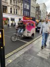 IMG_2379.jpeg