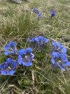 IMG_4245.jpeg