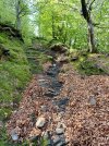 IMG-20250422-WA0004.jpg