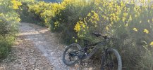 Specialized Turbo Levo 2023 - 700Wh