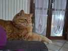 20260126_212851.jpg