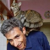 giannidip