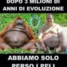 Meccanizzato71