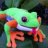 e-FROG