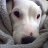 maxtoffo