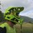 Daddo2483