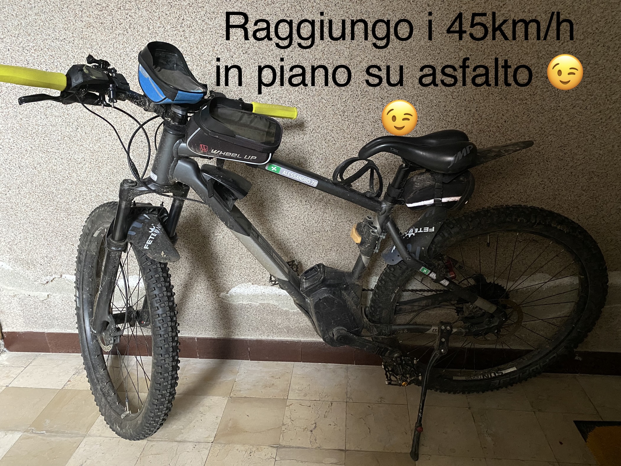 16FC5E1A-67CA-42EA-A56D-6D84C051A6FD.jpeg