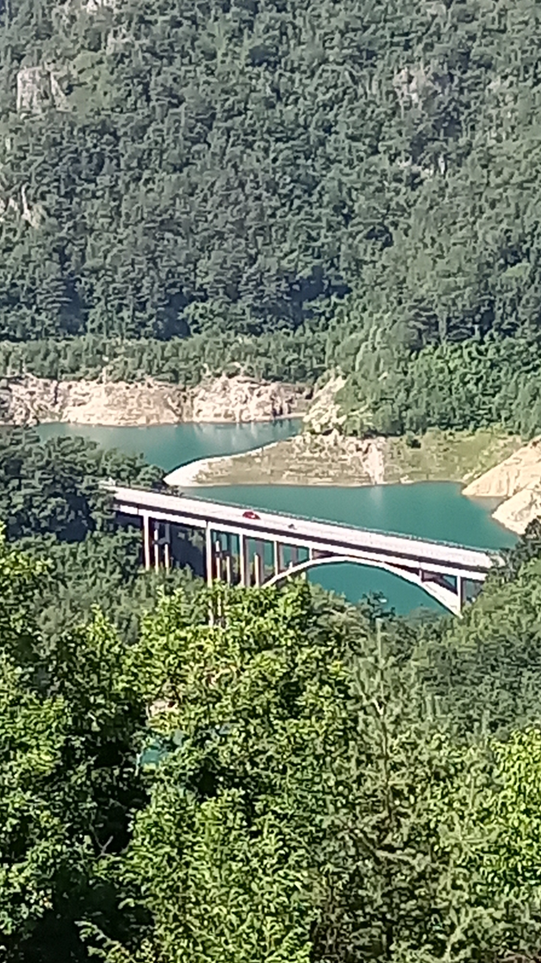 20230709_105507.jpg
