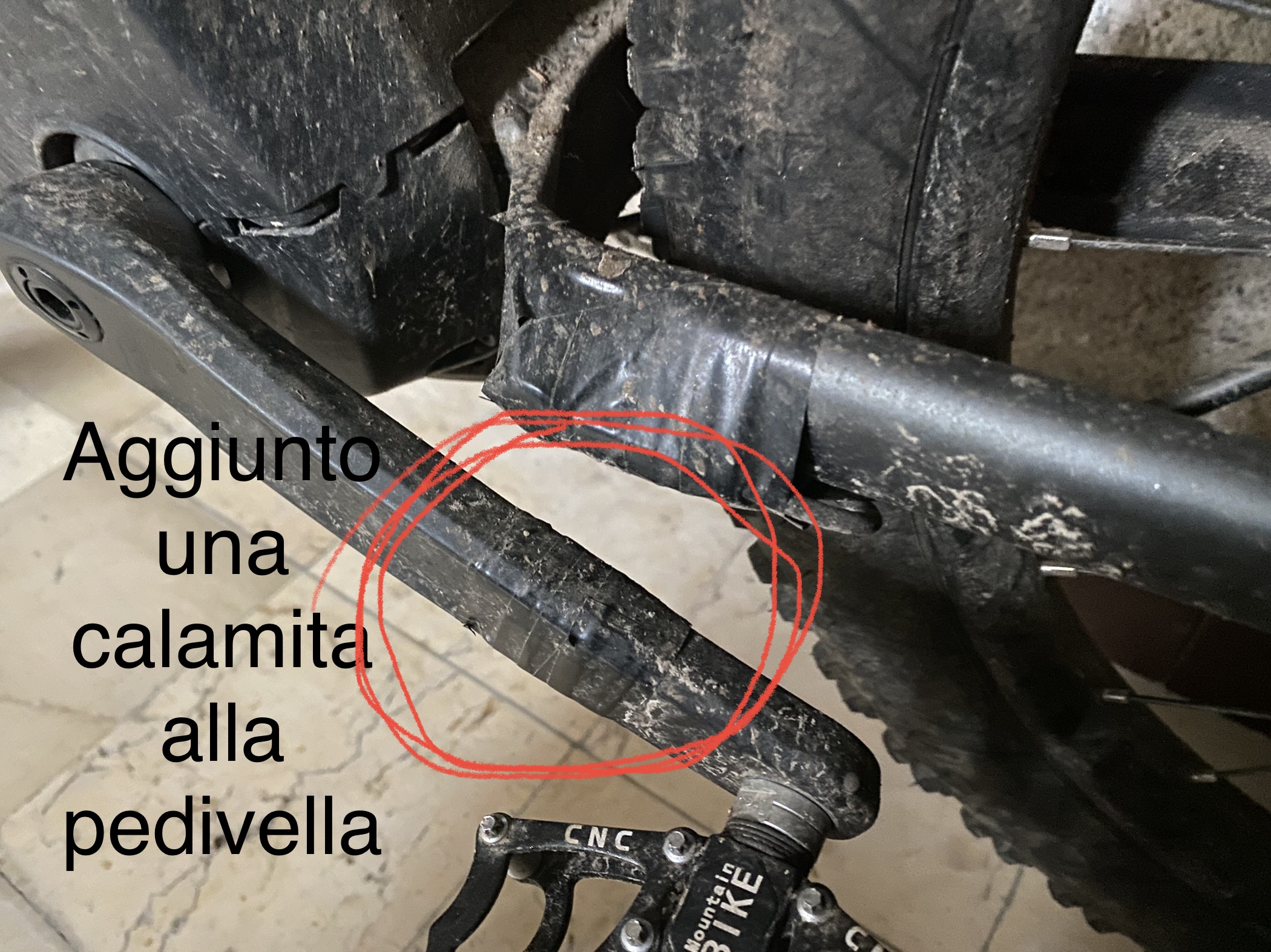 29579D74-7FF6-4FDB-9348-250ED9E298BF.jpeg