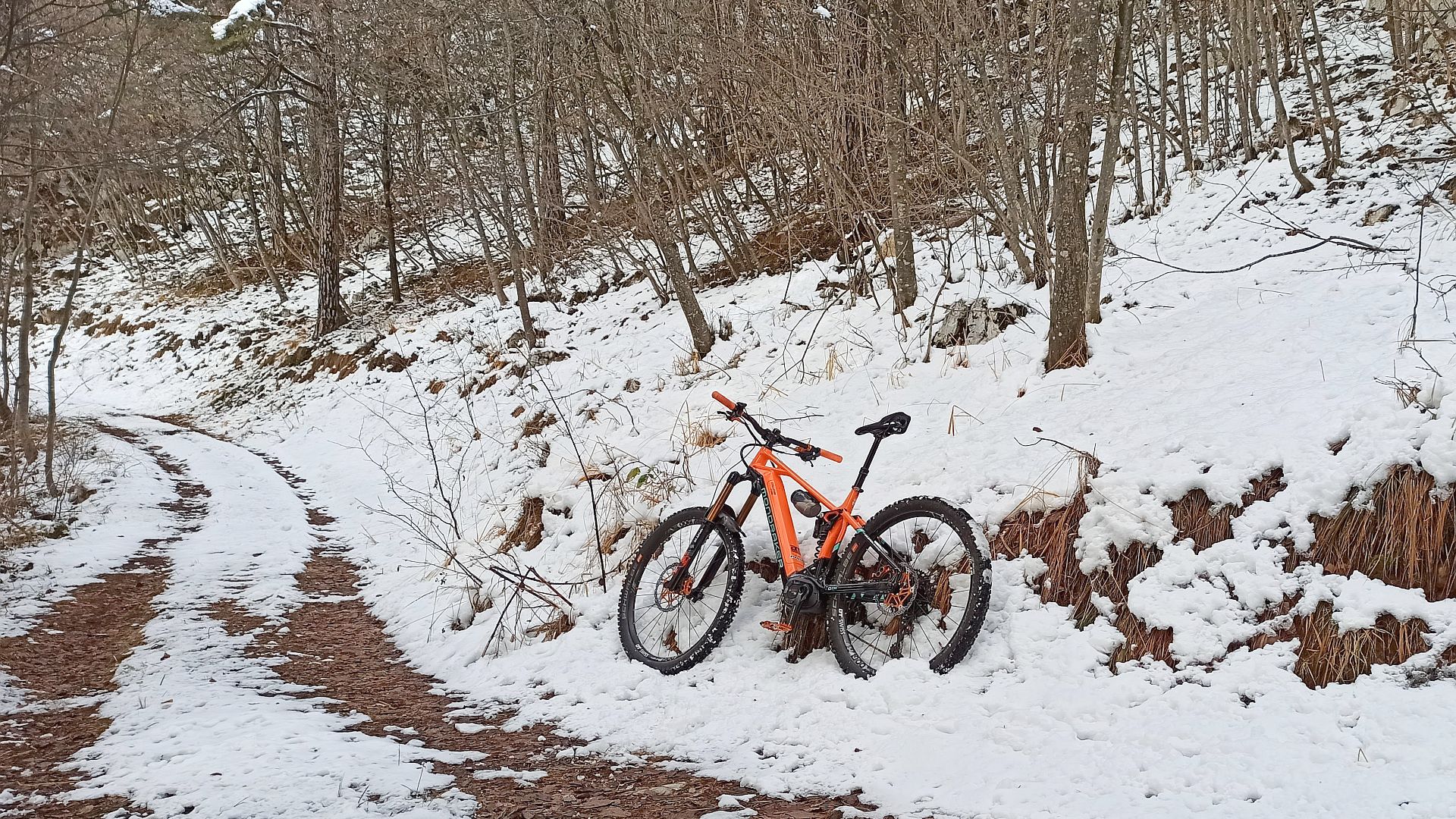 MTB_20201212_2.jpg